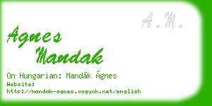 agnes mandak business card
